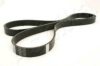 ASHIKA 112-6PK1725 V-Ribbed Belts